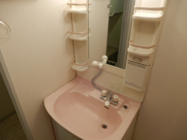 インタービレッジ青山三番館の洗面所