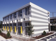 アイビーの画像