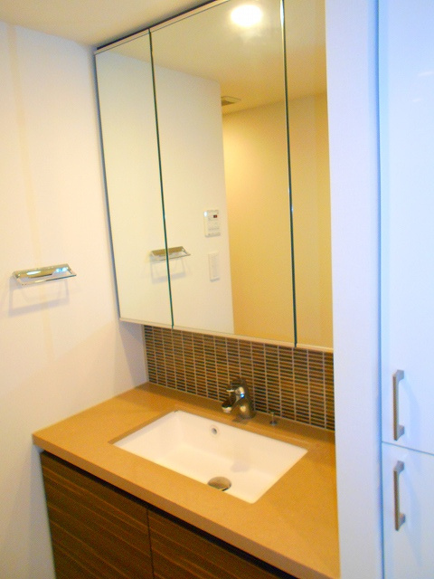 ザ・パークハビオ根岸三丁目の設備|三面鏡付トイレと独立した洗面台です。

