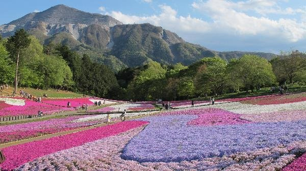 リトル　ボア　トラバースの周辺|羊山公園まで2100m