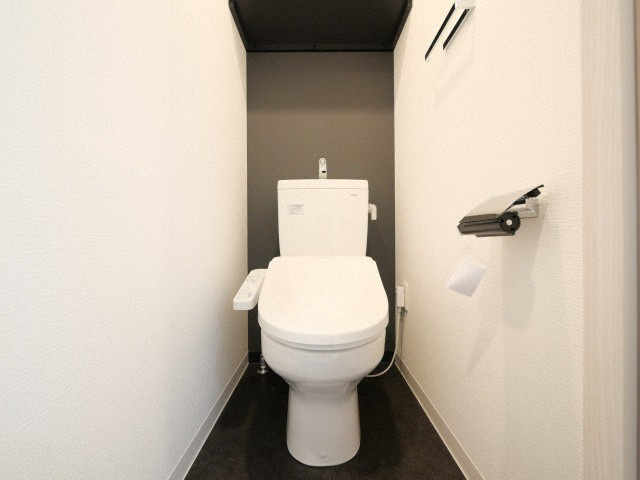 アドバンス天王寺南パキラのトイレ