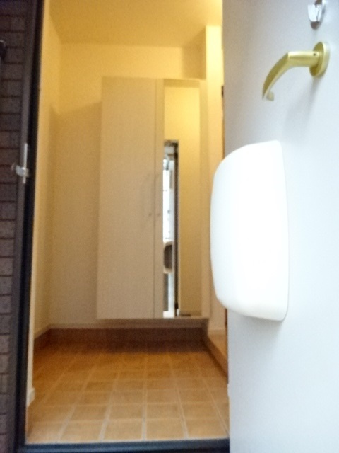 サンシャインビレッジアゼリアＢの玄関|玄関