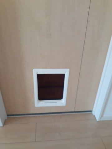 アルカンシェルⅢのその他