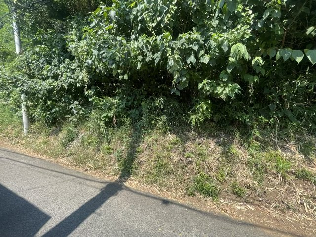 【外観】 | ハザードマップは自然災害による被害を予測し、その被害範囲を地図上で表したものです。近年特に災害が多くなっていますので、事前に調査すると安心できます。ハザードマップは国交省のホームページをご覧ください。