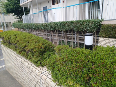 【庭】 | ゾンネンハイム第一南林間 | 物件によっては、入居者が個人的に使用できる専用庭がついているものもあります。また、住宅の中にある土間の部分を庭と呼ぶこともあります。庭の用途は住む人によって変わり、それによってデザインもさまざまです。