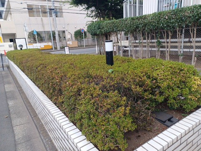 【庭】 | ゾンネンハイム第一南林間 | 1階の物件には専用庭が設置されていることもありますが、一般的にマンションの敷地内は居住者たちの庭です。だからと言って、好き放題していいわけではありません。そのマンションのルールを守って生活しましょう。