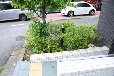 【中庭】 | アンビシャス八王子 | 中庭（パティオ）とは、一つの建築物の内部に設けられた、壁などで囲われている庭のことを指します。コの字型、ロの字型が主流ですが、L字型の中庭もあります。最近では、インテリア性の高さからも人気があります。