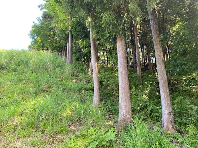 【外観】 | 土地探しをしていると都市計画区域という言葉を目にすると思います。法律によって、都道府県知事や国土交通大臣が指定するエリアのことを指しており、都市計画区域は市街化区域と市街化調整区域に分けられています。
