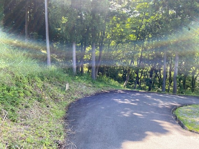 【前面道路含む現地写真】 | お持ちの車種によっては前面道路が広い方が便利でしょう。しかし、前面道路が広ければその分交通量が多くなるため、騒音などが気になる場合があります。実際に現地を見学し、周辺交通量や騒音などを確認しましょう！