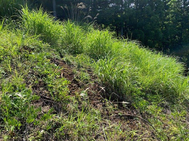 【前面道路含む現地写真】 | 住宅用の土地では前面道路に2m以上接していなければならないと法律で定められています。しかし、お持ちの車のサイズやライフスタイルなどにより、2mでは利便が悪い場合もございますので、事前に確認しましょう。
