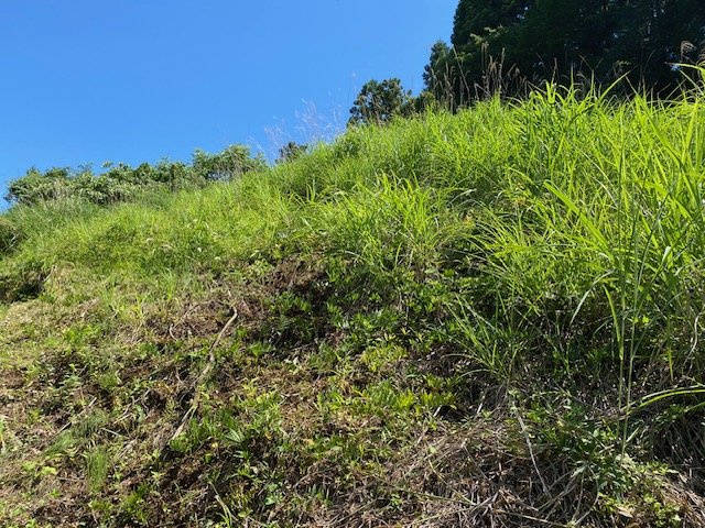 【外観】 | 物件の詳細については、現地を見てわかること以外に、役所や法務局などで調べないとわからないことがあります。そのため、現地に行く場合は、もしこの物件を買ったらどのような生活ができるかをイメージしましょう。