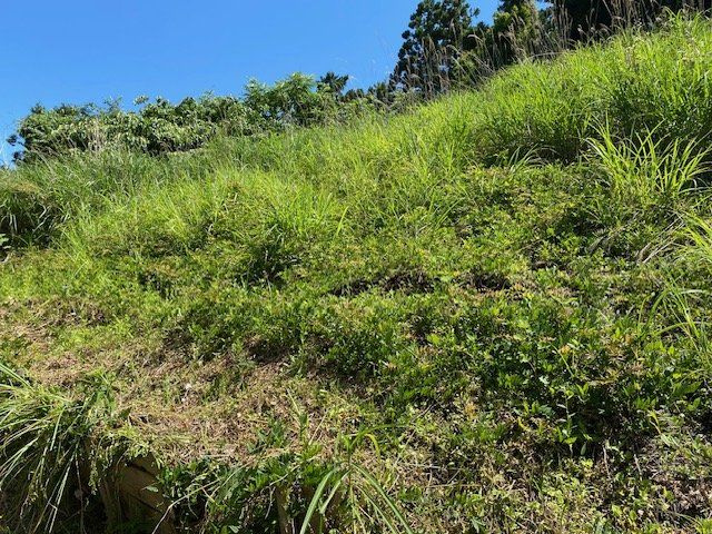 【外観】 | 隣家の土地はどうなっているのか、生活利便施設が近くにあるのか、学校まで近いかなど、お客様のライフスタイルにあわせたイメージが重要です。また、近くにあると困る施設が近くにないかも確認するといいでしょう。