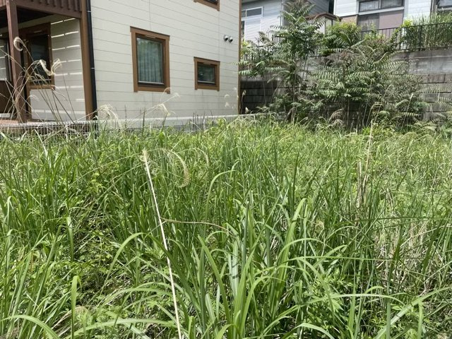 【外観】 | 家を建てる前提で土地を探している場合、地盤の丈夫さは譲れない条件の一つです。地盤が脆弱だと追加工事が必要となります。また、過去に地盤沈下や液状化現象を起こした土地は、できるだけ避けた方がいいでしょう。