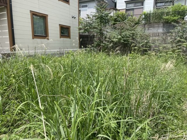 【外観】 | 人が暮らすうえで日光は大切な要素となります。日当たりの良さは譲れないポイントですね。併せて近くに大きな建築物の建築予定がないか、あるいはそれが可能な土地が近くにないか事前に確認することもお勧めします。