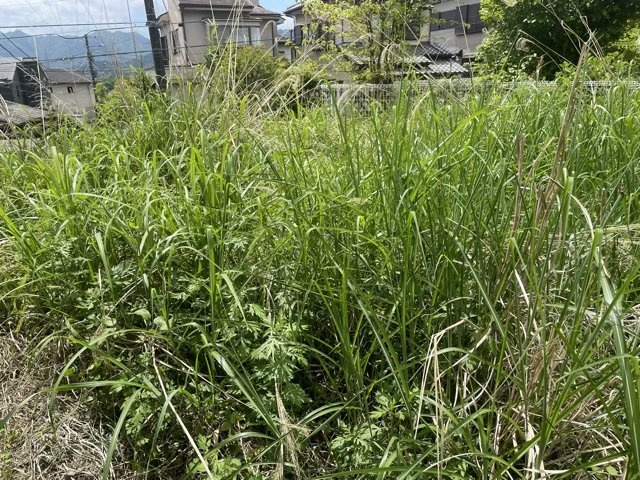 【外観】 | 土地を買う際、住む地域の自治体や福祉の補助制度にも注目してみましょう。子供や老人の医療補助やゴミ出しのルールなど、自治体によってルールに大きな違いがあるため、暮らしやすい土地で判断するとよいでしょう。