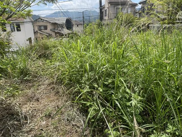 【外観】 | 土地の前の道路に消火栓が設置されていることがあります。この場合、道路交通法第45条第1項により、駐車禁止の場所が指定されています。そのため、車庫などの駐車スペースをつくることができない場合があります。