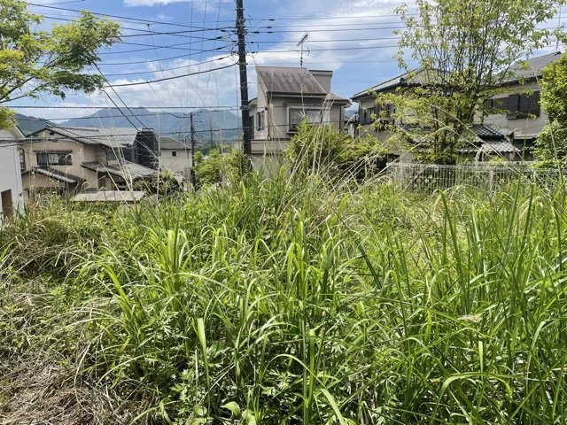 【外観】 | 市街化調整区域とは、自然環境を保つことが目的になっている地域で住宅用地として購入することはほぼ出来ません。事業用や資材置き場などその場所を有効活用したい方にお勧めです。田園地帯や自然が多いエリアです。