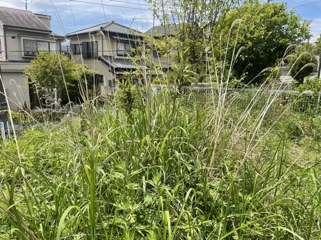 【外観】 | 現地に行くなら、物件の周囲の地形がどうなっているかを見ることも大切です。周辺より低くなっている土地では、大雨などで水が集まりやすいため、地盤が弱くなっているということも考えられるため、注意が必要です。
