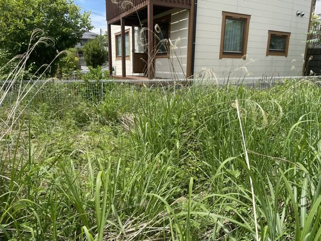 【外観】 | 土地購入を検討されている場合、境界杭がない状態で購入してしまうと境界確定測量をする必要があり、費用がかかります。購入の前に、売主、隣土地所有者立ち合いのもと境界を確定し境界杭を設置するのがベストです。