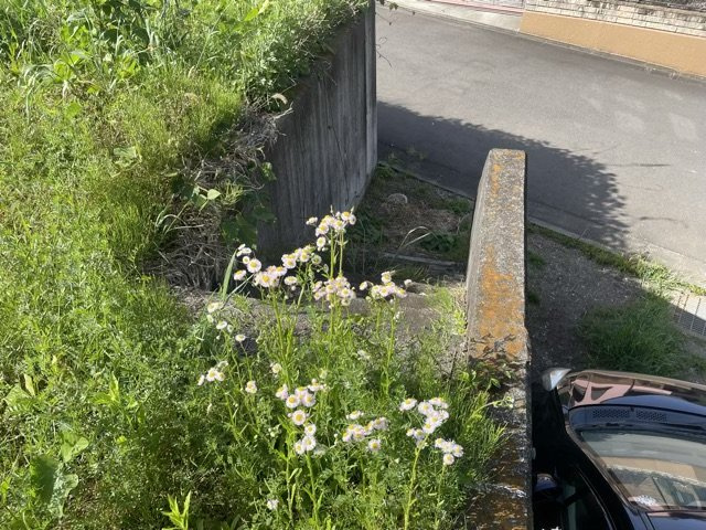 【外観】 | 最寄り駅が近いなどの交通アクセスが良い土地だと暮らしやすいですよね。通勤・通学の観点から土地を選ぶことも大切です！ご自身や家族のライフワークからあった物件を探しましょう！！当社営業がお力になります！！