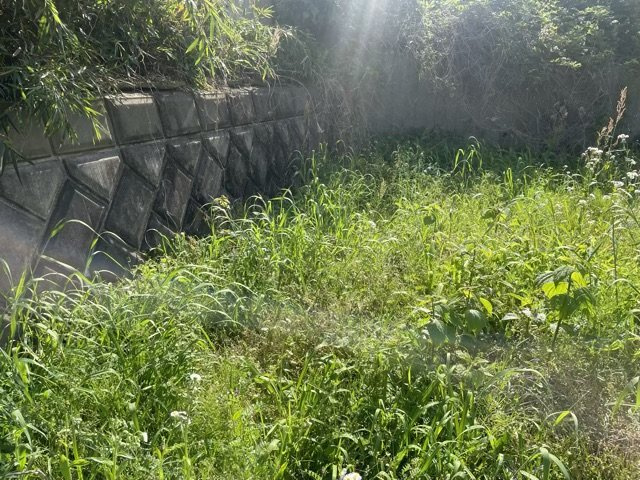 【外観】 | 現地に行くなら、物件の周囲の地形がどうなっているかを見ることも大切です。周辺より低くなっている土地では、大雨などで水が集まりやすいため、地盤が弱くなっているということも考えられるため、注意が必要です。