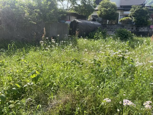 【外観】 | 隣家の土地はどうなっているのか、生活利便施設が近くにあるのか、学校まで近いかなど、お客様のライフスタイルにあわせたイメージが重要です。また、近くにあると困る施設が近くにないかも確認するといいでしょう。