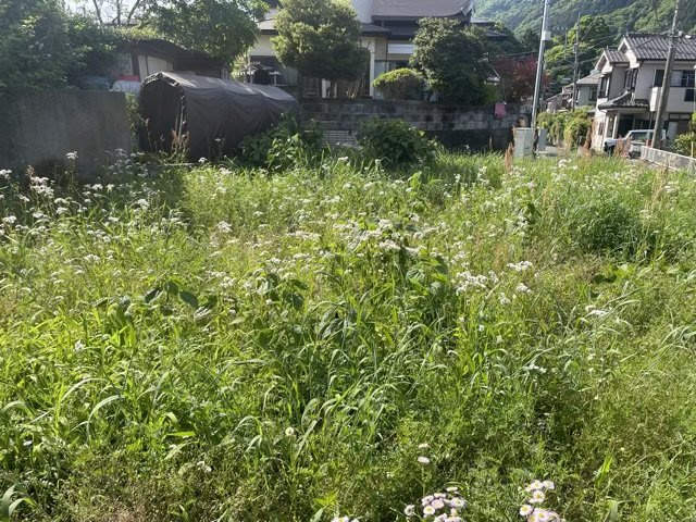 【外観】 | 土地購入を検討されている場合、境界杭がない状態で購入してしまうと境界確定測量をする必要があり、費用がかかります。購入の前に、売主、隣土地所有者立ち合いのもと境界を確定し境界杭を設置するのがベストです。