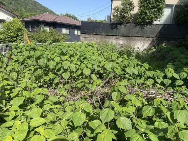 【外観】 | 家を建てる前提で土地を探している場合、地盤の丈夫さは譲れない条件の一つです。地盤が脆弱だと追加工事が必要となります。また、過去に地盤沈下や液状化現象を起こした土地は、できるだけ避けた方がいいでしょう。