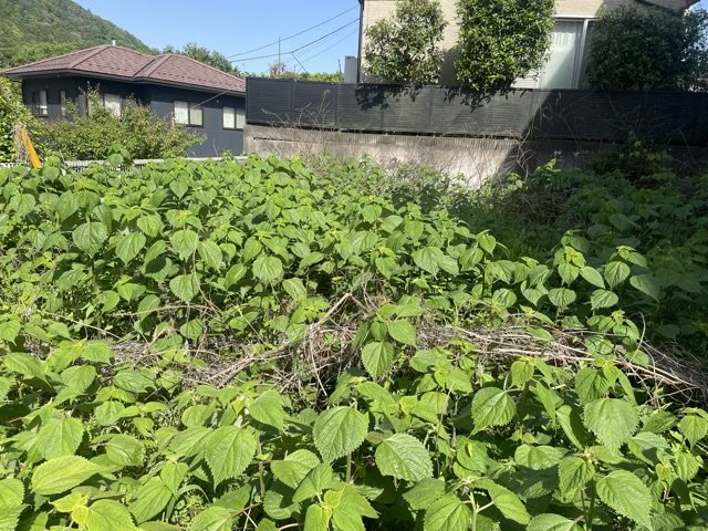 【外観】 | 人が暮らすうえで日光は大切な要素となります。日当たりの良さは譲れないポイントですね。併せて近くに大きな建築物の建築予定がないか、あるいはそれが可能な土地が近くにないか事前に確認することもお勧めします。