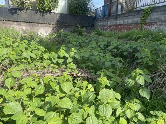 【外観】 | 家を建てる場合、方位は要チェックです。現実的に日当たりのよい家ならばリビングは南側、建築基準法でも北側に当たる家への配慮は求められています。土地を見学に行く際は、方位磁針を持って行くようにしましょう。
