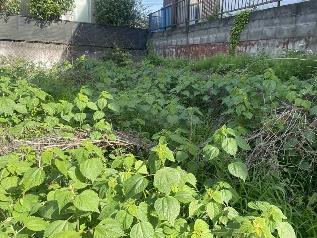 【外観】 | 土地を買う際、住む地域の自治体や福祉の補助制度にも注目してみましょう。子供や老人の医療補助やゴミ出しのルールなど、自治体によってルールに大きな違いがあるため、暮らしやすい土地で判断するとよいでしょう。
