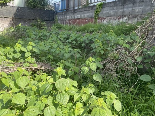 【外観】 | 土地の前の道路に消火栓が設置されていることがあります。この場合、道路交通法第45条第1項により、駐車禁止の場所が指定されています。そのため、車庫などの駐車スペースをつくることができない場合があります。