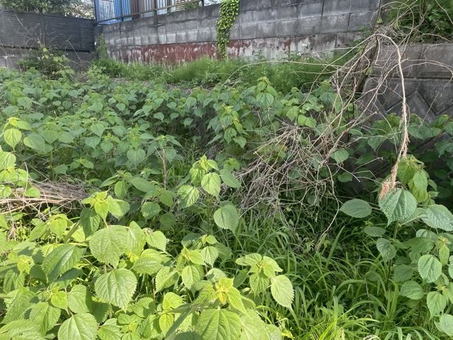 【外観】 | 土地探しをしていると都市計画区域という言葉を目にすると思います。法律によって、都道府県知事や国土交通大臣が指定するエリアのことを指しており、都市計画区域は市街化区域と市街化調整区域に分けられています。