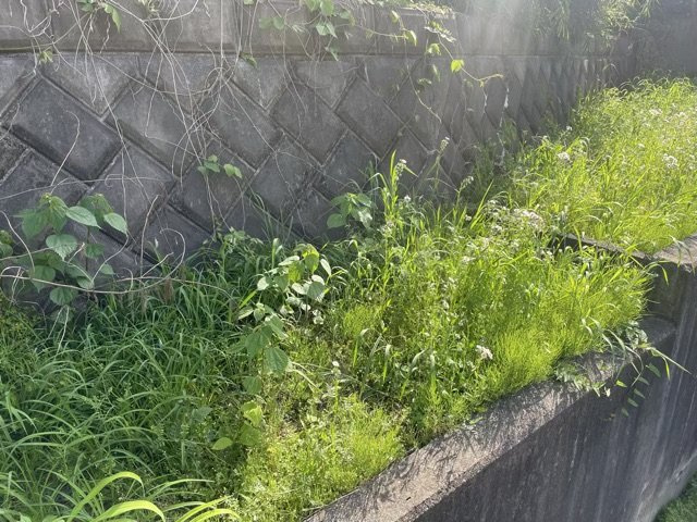【外観】 | 市街化調整区域とは、自然環境を保つことが目的になっている地域で住宅用地として購入することはほぼ出来ません。事業用や資材置き場などその場所を有効活用したい方にお勧めです。田園地帯や自然が多いエリアです。