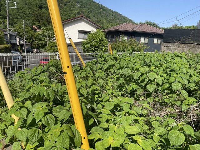【外観】 | 現地に行くなら、物件の周囲の地形がどうなっているかを見ることも大切です。周辺より低くなっている土地では、大雨などで水が集まりやすいため、地盤が弱くなっているということも考えられるため、注意が必要です。