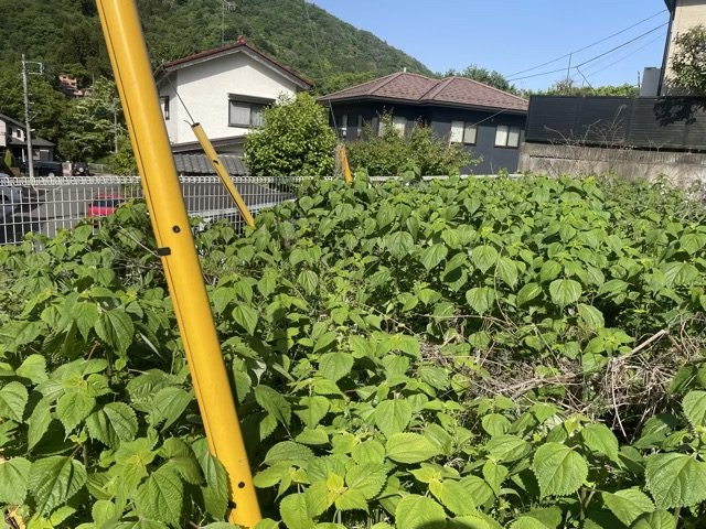 【外観】 | 物件の詳細については、現地を見てわかること以外に、役所や法務局などで調べないとわからないことがあります。そのため、現地に行く場合は、もしこの物件を買ったらどのような生活ができるかをイメージしましょう。