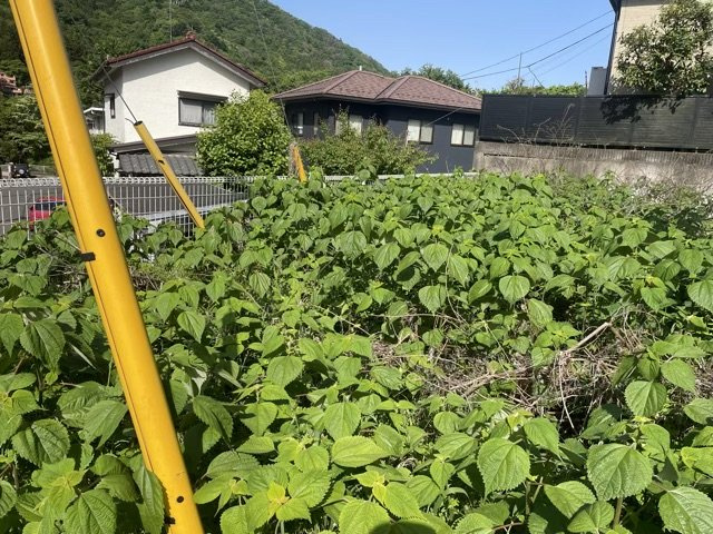 【外観】 | 隣家の土地はどうなっているのか、生活利便施設が近くにあるのか、学校まで近いかなど、お客様のライフスタイルにあわせたイメージが重要です。また、近くにあると困る施設が近くにないかも確認するといいでしょう。