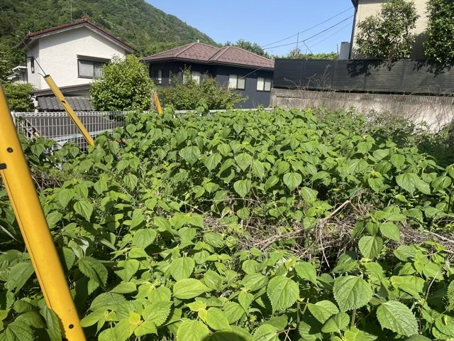 【外観】 | 土地購入を検討されている場合、境界杭がない状態で購入してしまうと境界確定測量をする必要があり、費用がかかります。購入の前に、売主、隣土地所有者立ち合いのもと境界を確定し境界杭を設置するのがベストです。