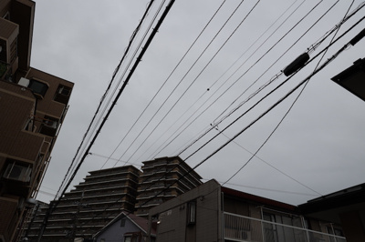 【展望】 | ライオンズマンション相武台前第五 | 眺望の良さを楽しめるダイニングキッチンで家族団らんの時間を過ごしてはいかがでしょうか。バルコニーから見える景色を家族で眺める時間は、時間が経つのを忘れてしまいそうですね。是非、現地を見に行きましょう！