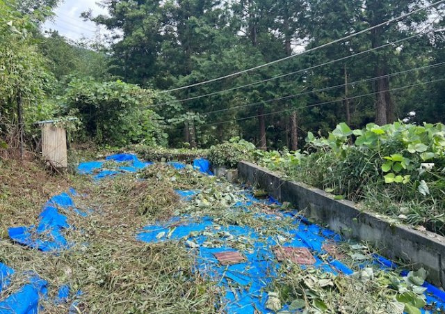 【外観】 | 家を建てる前提で土地を探している場合、地盤の丈夫さは譲れない条件の一つです。地盤が脆弱だと追加工事が必要となります。また、過去に地盤沈下や液状化現象を起こした土地は、できるだけ避けた方がいいでしょう。