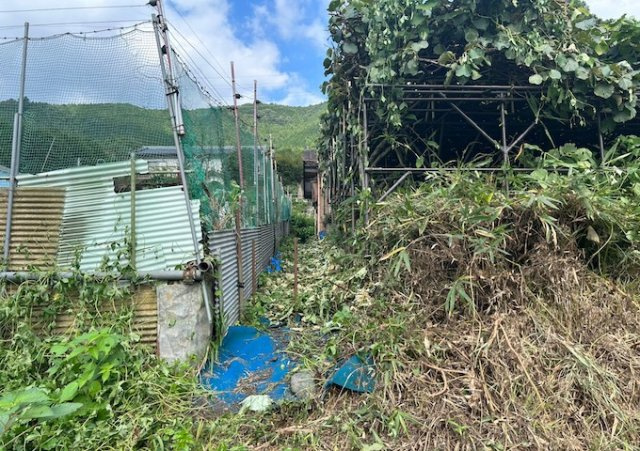 【外観】 | 現地に行くなら、物件の周囲の地形がどうなっているかを見ることも大切です。周辺より低くなっている土地では、大雨などで水が集まりやすいため、地盤が弱くなっているということも考えられるため、注意が必要です。
