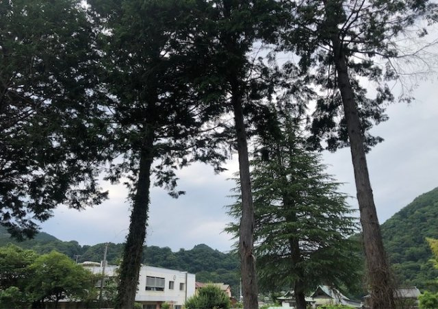 【展望】 | 桜や紅葉の名所に出かける人は多いと思いますが、家にいながら季節の移ろいを感じる生活を送りませんか？リビングや窓から見える景色が生活を彩るワンポイントに！現地から見える景色を堪能してみては如何でしょう。