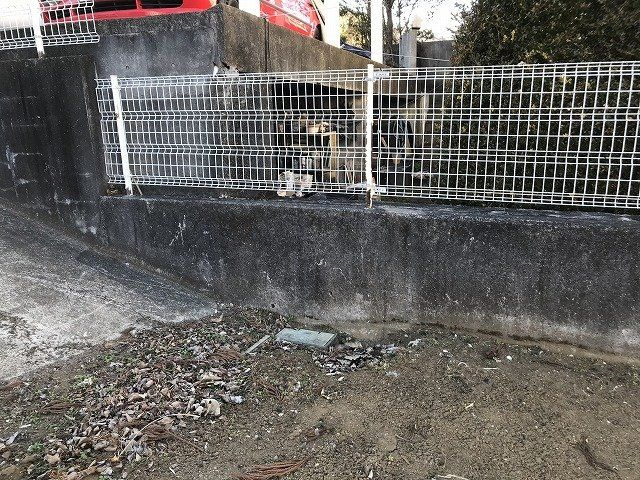 【外観】 | 周辺環境も現地にてご確認下さい。			
