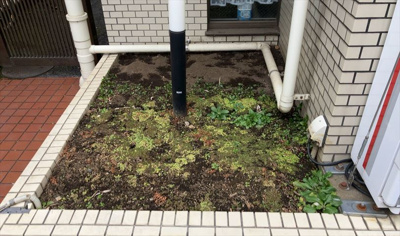 【庭】 | パレドール八王子2