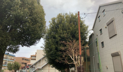 【展望】 | パレドール八王子2 | 眺望を気にして物件を探す場合、前面に建物が建っていないか現地で確認しましょう！前面に建物があると景色はもちろん、日当たりや風通しにも影響が出てきます。住んだ時のことを想像しながら現地見学をしましょう。