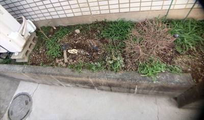 【庭】 | ロワドール北野 | 物件によっては、入居者が個人的に使用できる専用庭がついているものもあります。また、住宅の中にある土間の部分を庭と呼ぶこともあります。庭の用途は住む人によって変わり、それによってデザインもさまざまです。