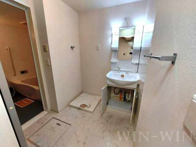 プレジール多米の洗面所