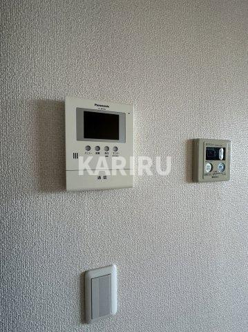 ハナミズキのセキュリティ