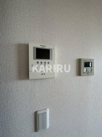 ハナミズキのその他