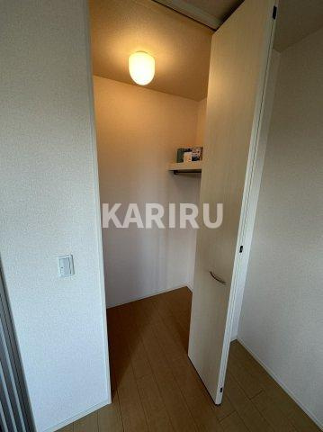 ハナミズキのその他